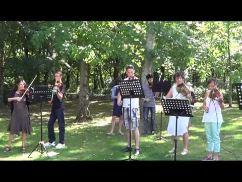 jazz roster Gavotte - Forum Violon Passion