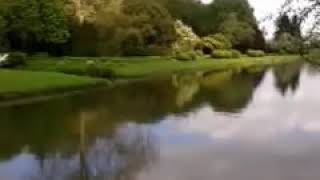 De Vrede Van De Aarde En De Hemel Iona