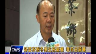 1050412【大新店地方新聞】降雪茶樹冬眠生長緩慢 春茶品質優