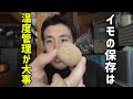 イモの保存方法【温度管理】
