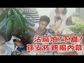 孫安佐與家庭內幕