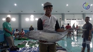 [NEWS] Investigasi Pabrik Pengolahan Ikan di Bitung