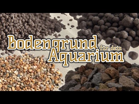Video: So Bereiten Sie Den Bodengrund Für Das Aquarium Vor
