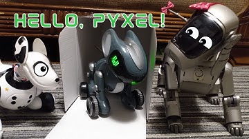 UNBOXING PYXEL the NEW Robot Dog/Coding Pet (FIRST Hands-On Review!)