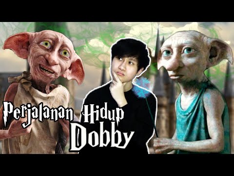 Video: Mengapa dobby harus mati?