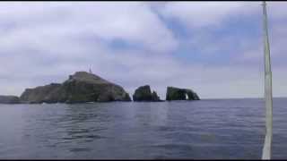 Sailing Anacapa Channel Islands with Dolphins