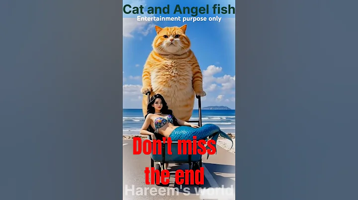 Video 9204941: cat facts funny cartoon, cat fish funny, funny pets