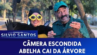 Abelha Cai da Árvore - Bee Prank | Câmeras Escondidas (06/10/19)