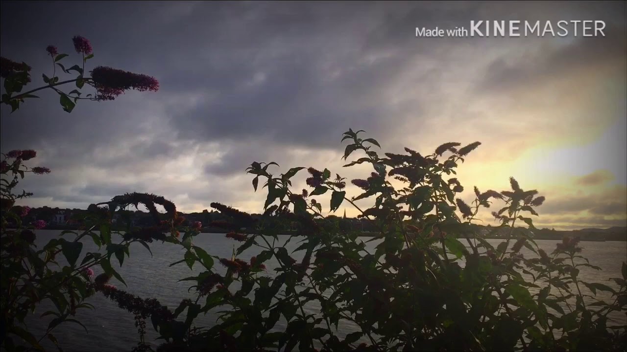 A Morning Walk By the Sea - Clontarf, Dublin