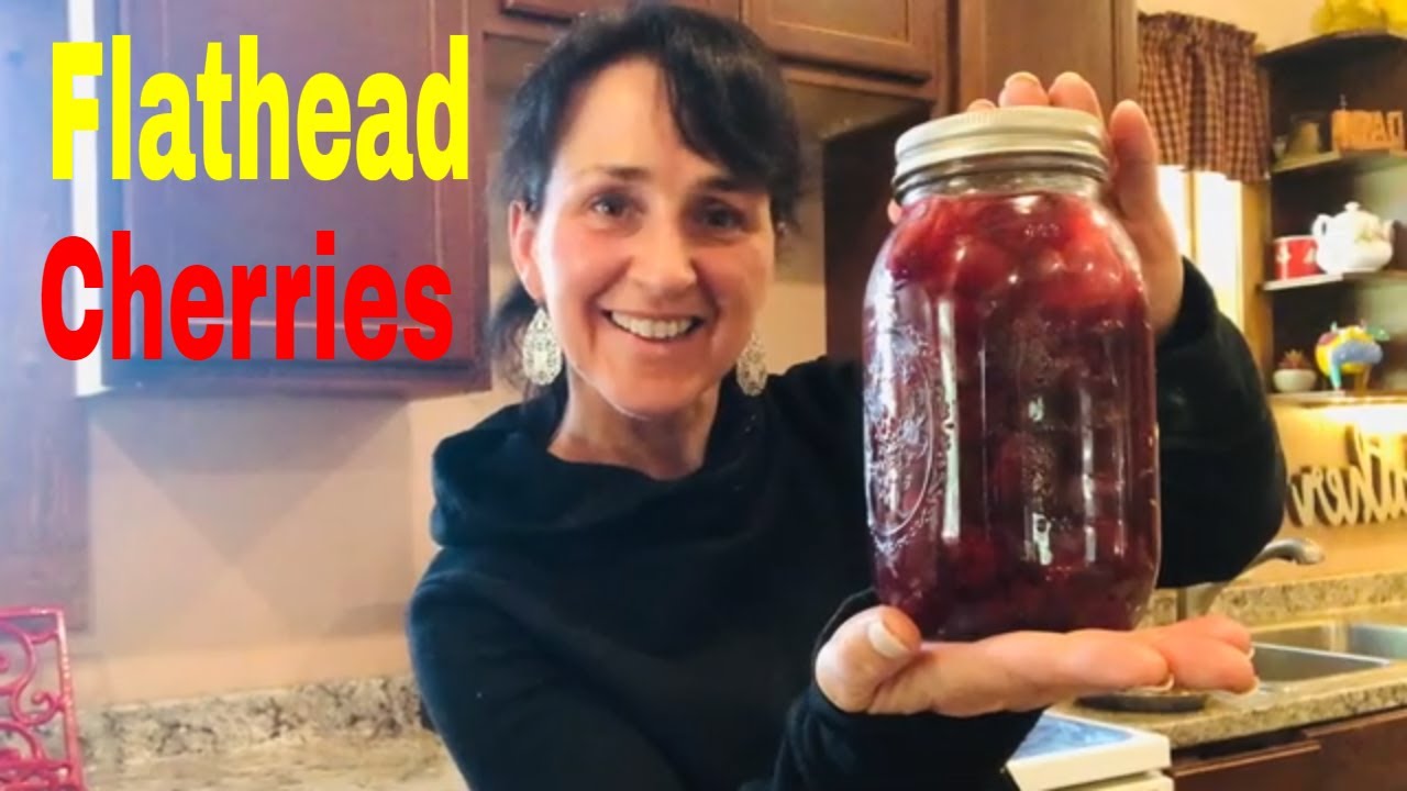 Flathead Montana Cherry picking, canning cherry pie filling, making a