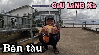 Câu lăng xê ở bến tàu ở Cồn Khương, điểm câu vừa có thể câu cá, tôm