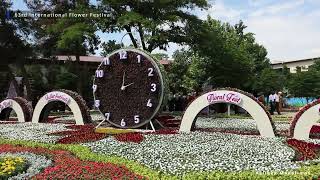 International Flower Fest 2024