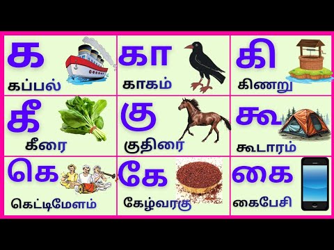 ககாகிகீ/Uyirmeieluthukkal/உயிர்மெய்எழுத்துக்கள்/Tamil Alphabets for kids @PEEKABOO-ff8wq