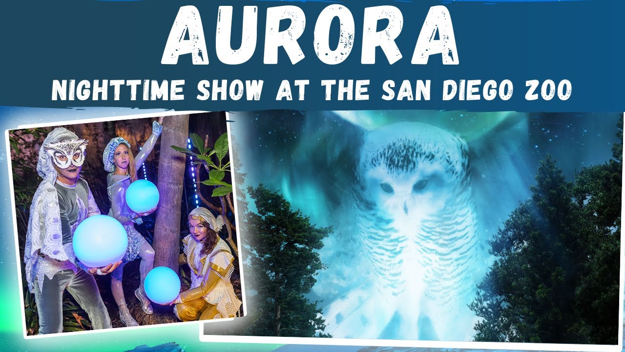 JOURNEY to JUNGLE BELLS at the SAN DIEGO ZOO - Limited Time Christmas &  Holiday Nighttime Event 