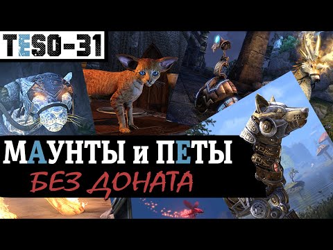 Все БЕСПЛАТНЫЕ маунты и петы в Elder Scrolls Online. Ездовые и декоративные питомцы. TESO(2020)