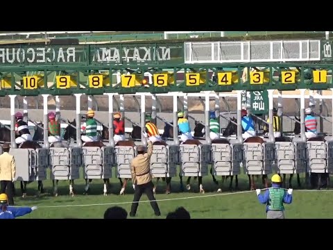 スプリングステークス 1着シックスペンス号（C.ルメール騎手）2024年3月17日（日）中山競馬場