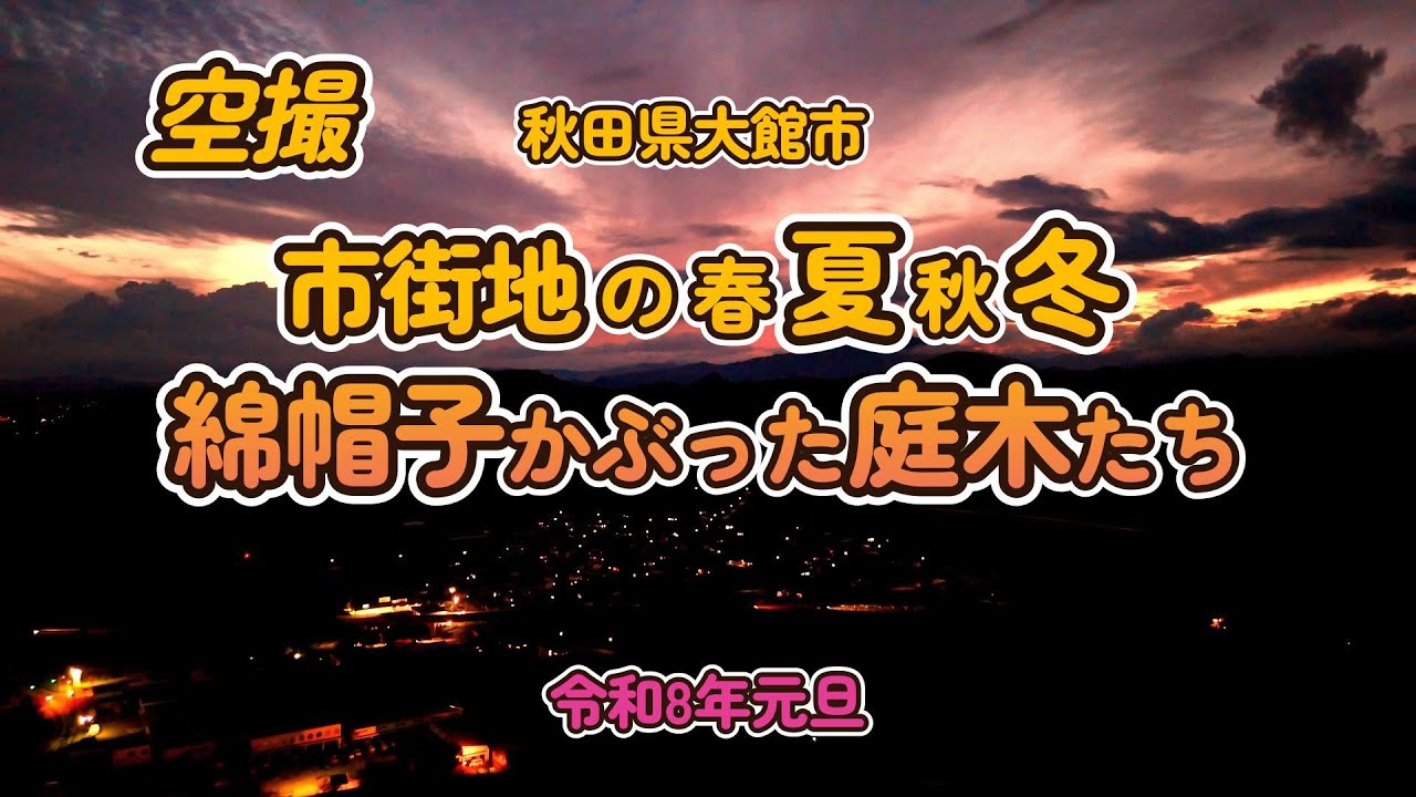 🔰ドローン空撮をお届けします#大館市#冬の庭木たち#綿帽子をかぶった庭木たち#白銀の世界#ドローン空撮#雪景色