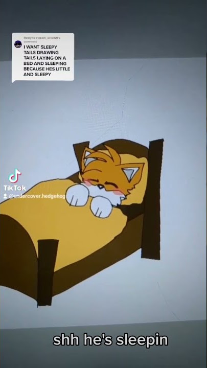 Tails sleeps || Sonic The Hedgehog