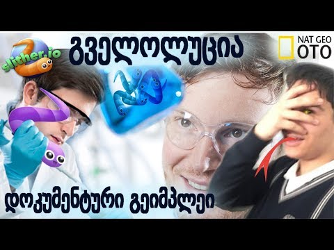 გველმა ევოლუციის შემდეგ ეტაპს მიაღწია?!