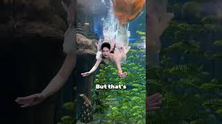 Rahasia MENGGEJUTKAN tentang Bagaimana Putri Duyung SEBENARNYA Bernapas di Bawah Air 🧜‍♀️🌊 (Bukan...