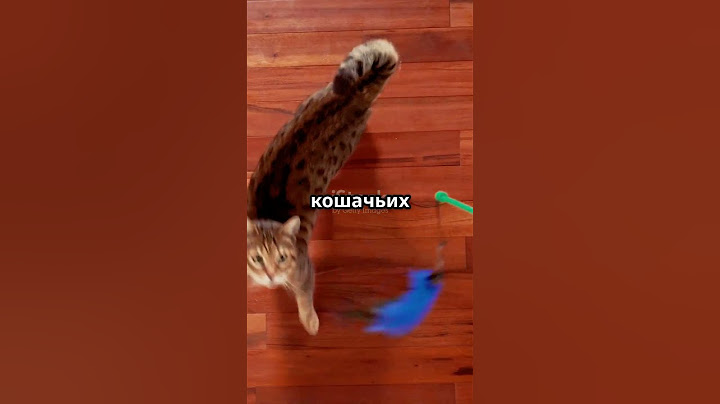 Почему кошки всегда приземляются на лапы? 🐾 | Удивительные факты #shorts