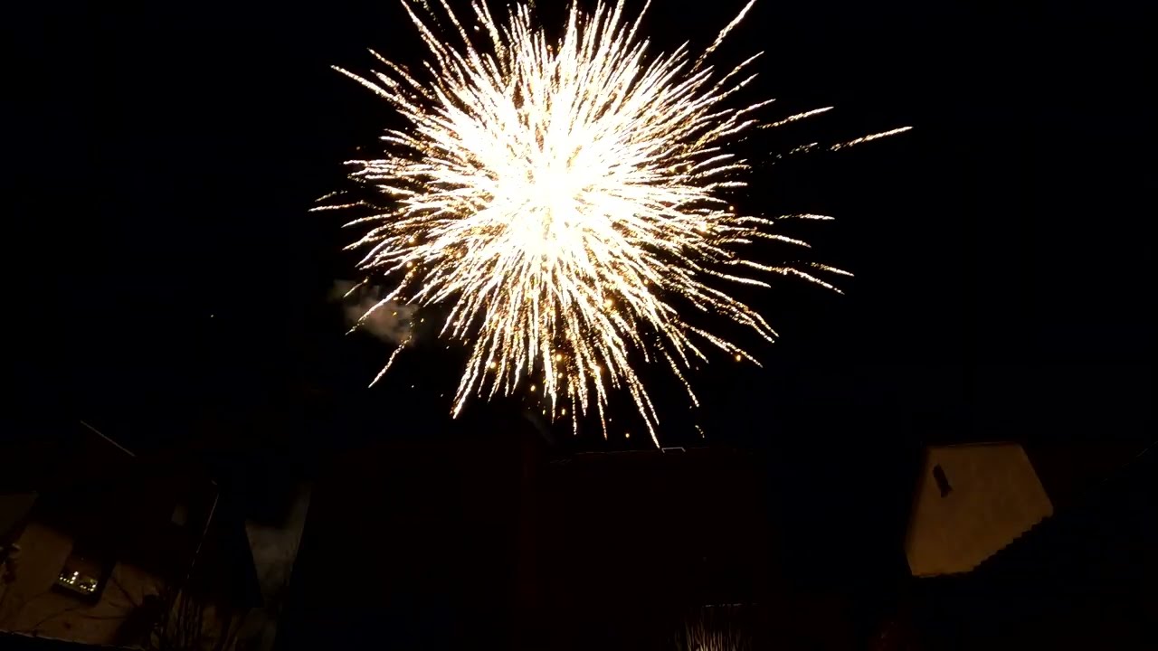 El Gato Fiesta Dorada