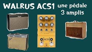 Les 3 grandes marques d'amplis expliquées et le préampli Walrus ACS1