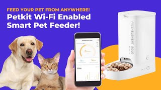 Unboxing & Review of Petkit Feeder  WiFi Enabled Smart Pet Feeder