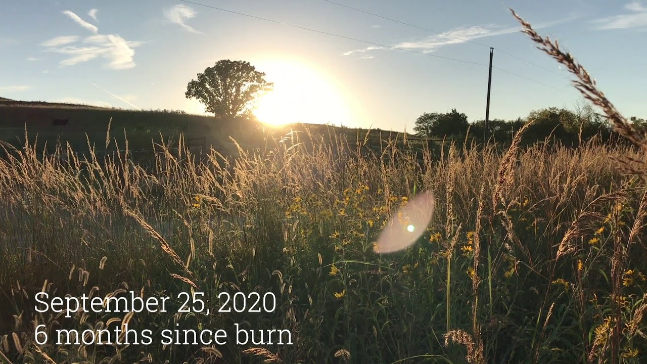 Prairiewood Conservation 2020