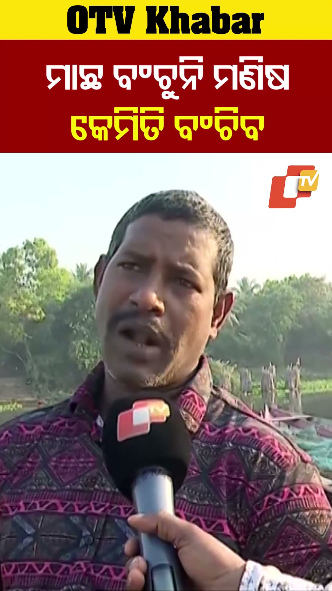 ମାଛ ବଂଚୁନି ମଣିଷ କିପରି ବଂଚିବ ? ଗୋଟିଏ ସାଧାରଣ କେରାଣ୍ଡି ମାଛ ବି ମିଳୁନି।#Kanasa #OTV #OdishaTV