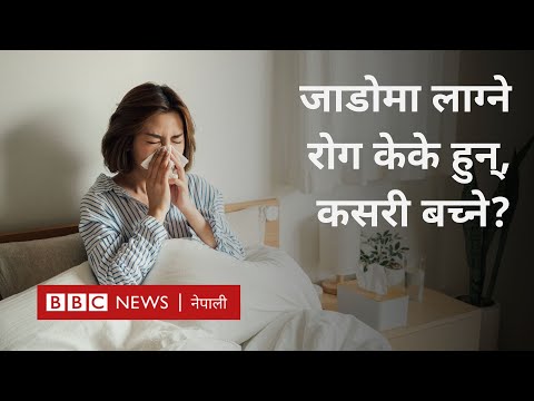 Common cold: घरेलु उपचारले चिसो निको हुन्छ? - BBC Nepali Sewa