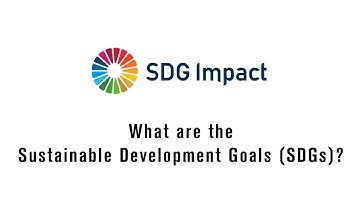 What are the Sustainable Development Goals (SDGs)?