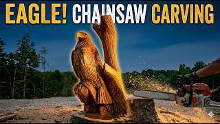 Amazing Chainsaw Carving: Harley Dougherty Transforms a Tree Stump
