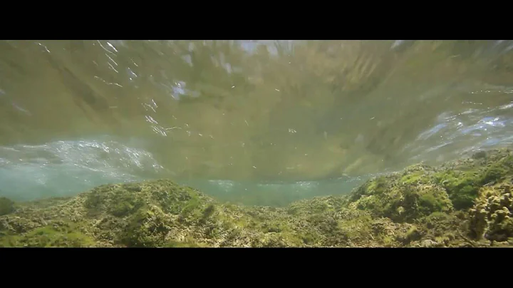 Underwater from Texas Aquatic Science video by Ran...