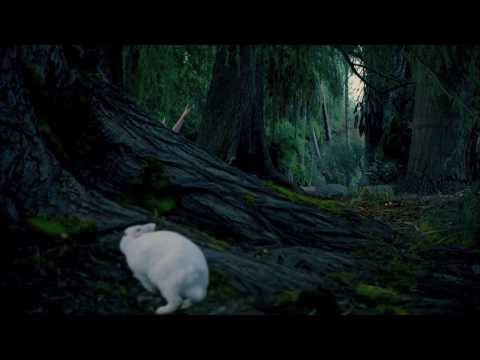 From the soundtrack 'Almost Alice' for Tim Burtons Alice in Wonderland. The end credit track Alice (Underground) written by Avril Lavigne and produced by But...