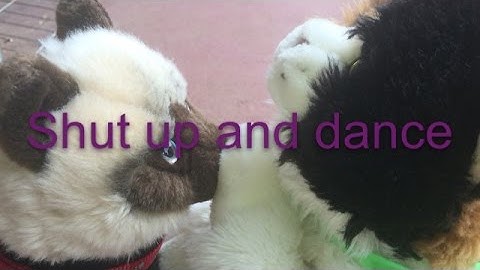 "Shut Up and Dance" Webkinz mep part 2 for nikiebulldog kinz