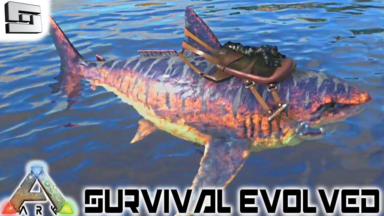 Megalodon ark survival evolved