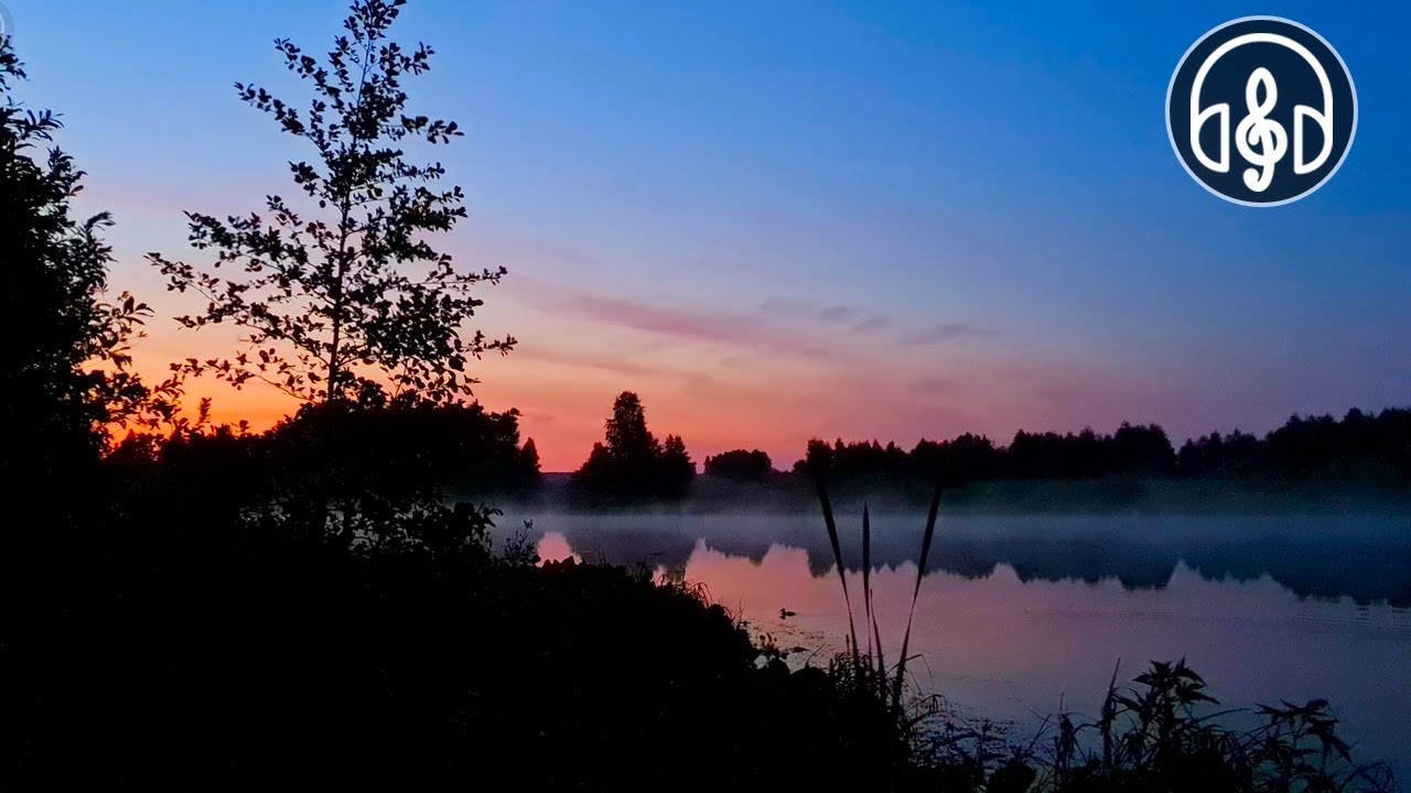 Singing of forest birds with cicadas at the night lake. Perfect for sleeping! Singing of forest birds with cicadas at the night lake. Perfect for sleeping!