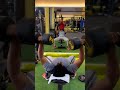 heaviest dumbbells in the gym