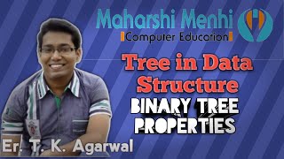 Celebrity 27. Binary Tree Properties Net Worth