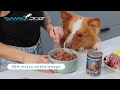 Twój pies pokocha Prime Bite 🐾 Premium mokra karma dla psów od Game Dog