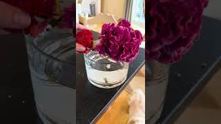 This Viral Tape Trick Makes Flower Arrangements Look Professional