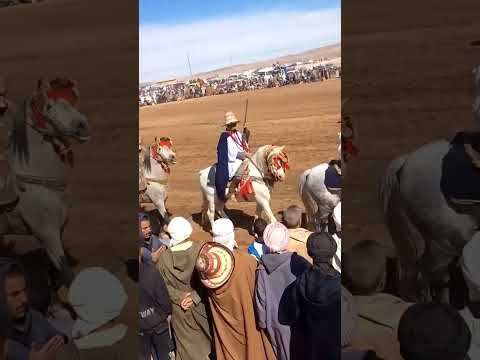 ولاد ساعد افلو ولاية الاغواط 