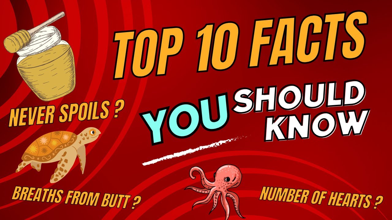 10 MIND BLOWING FACTS THAT WILL BLOW YOUR MIND | Facty Facts - YouTube