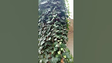 قران كريمقران كريم بصوت جميل جدا راحه نفسيه وسكينه أرح سمعك وقلبك  #القرآن_الكريم #بصوت_جميل #قرآن