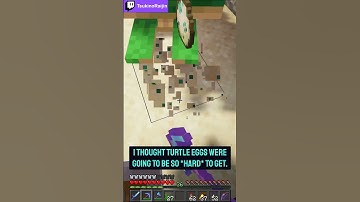 Turtle Breeding Broken On Skyblock #shorts