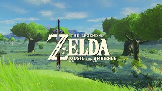 Relaxing Zelda Music in the Forest ( with videogames music will help you relax your mind)