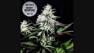 VA - Hip Hop's Most Blunted Vol. 52 (2026)