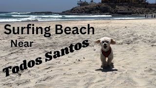 Cerritos Beach, Baja California Sur, Mexico