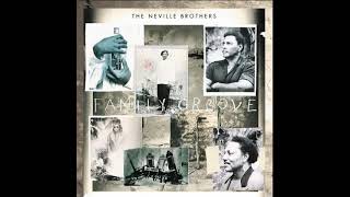 The Neville Brothers - Take Me To Heart